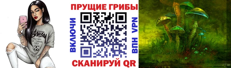 Галлюциногенные грибы Psilocybe  наркошоп  Моршанск 