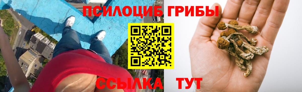 Моршанск  Галлюциногенные грибы Psilocybe  Вход с VPN 