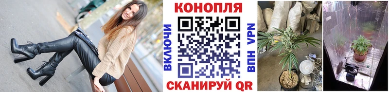 Канабис индика  Моршанск 